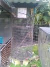 Large-cages-monkeys-birds-reptile